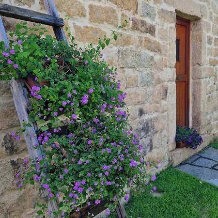 Pensión Limbara Dreaming