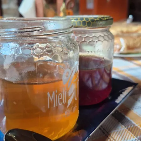 Limbara Dreaming Vendégház Tempio Pausania