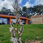 Limbara Dreaming Penzion