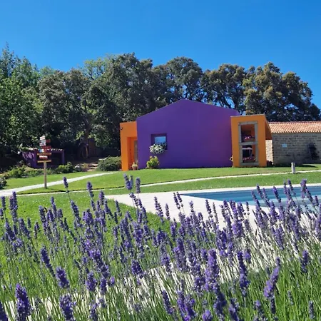 Limbara Dreaming Tempio Pausania