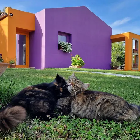 Pensionat Limbara Dreaming 4*