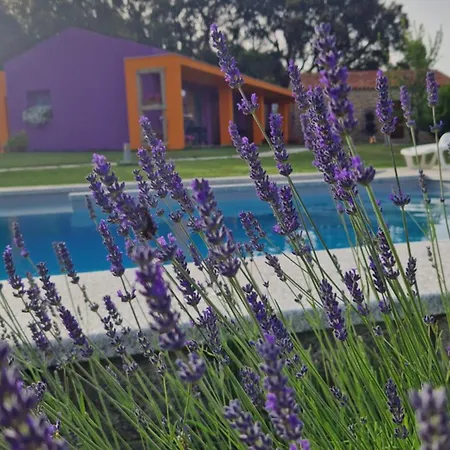 Pensionat Limbara Dreaming Tempio Pausania