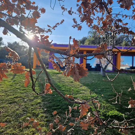 Limbara Dreaming Pensionat