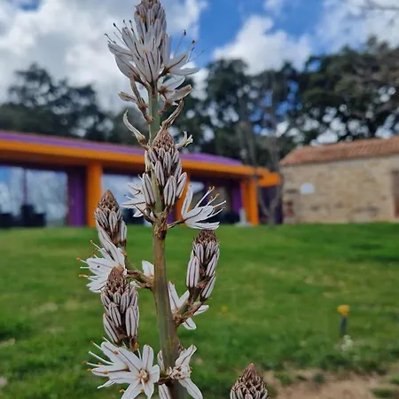 Limbara Dreaming Pensionat