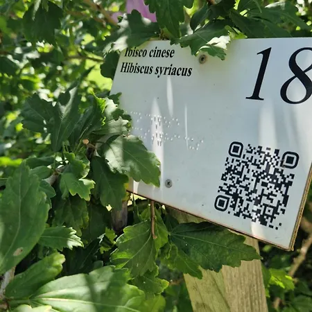 Limbara Dreaming Pensionat