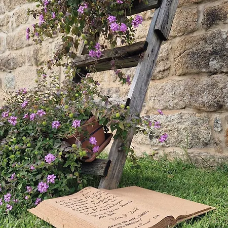 Pensionat Limbara Dreaming