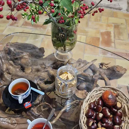 Limbara Dreaming Pensionat 4*