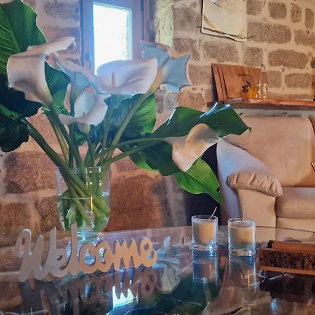 Limbara Dreaming Tempio Pausania