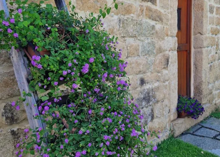 בית הארחה Limbara Dreaming