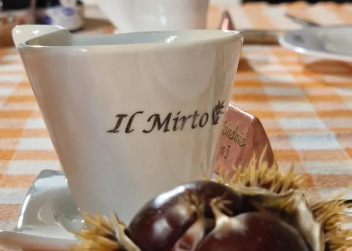 Limbara Dreaming 4* טמפיו פאוזניה